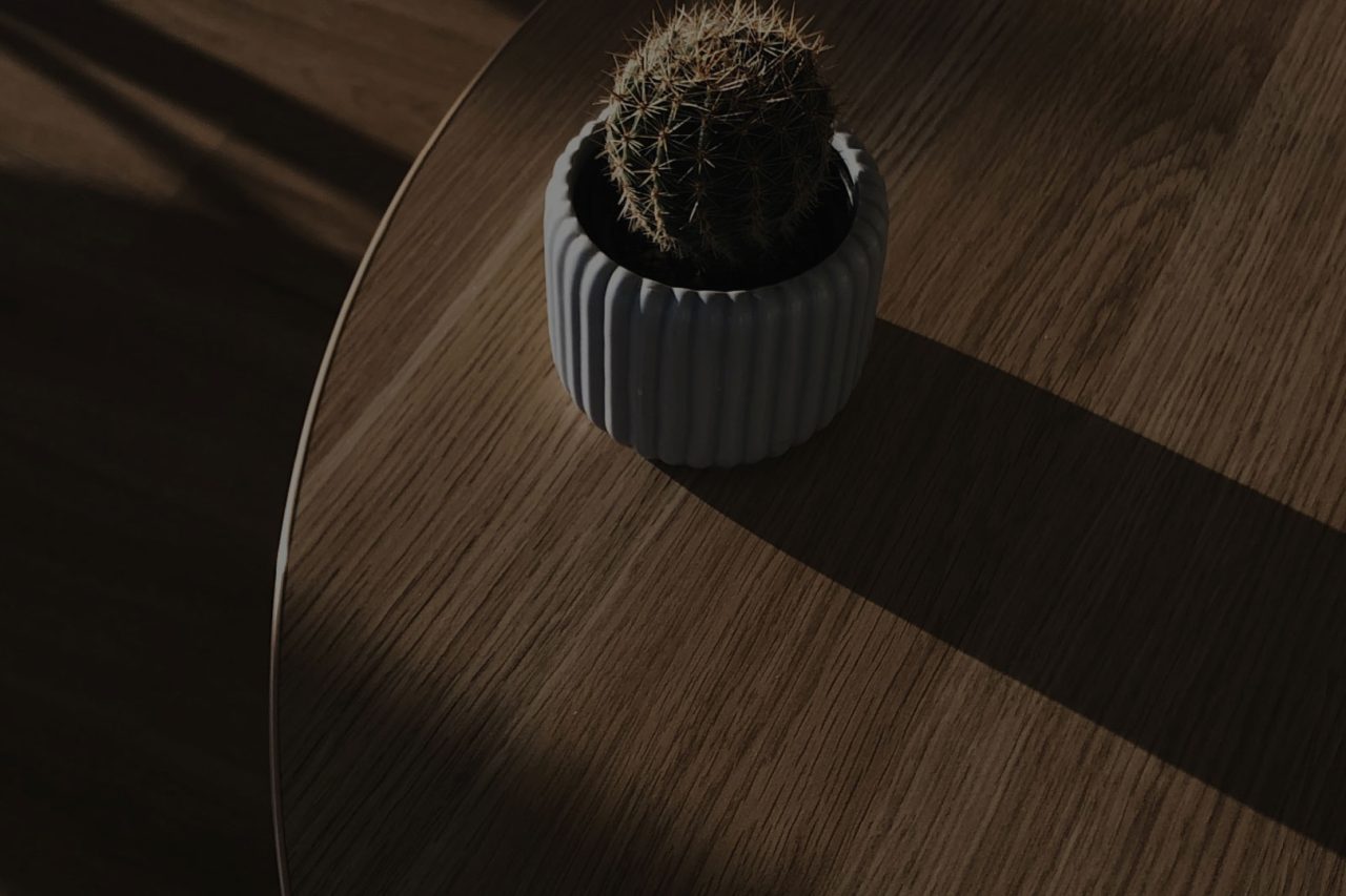 Photos sombre d'un cactus sur une table en bois